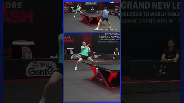 Tennis de table : le très joli point du Français Simon Gauzy lors du Smash de Singapour