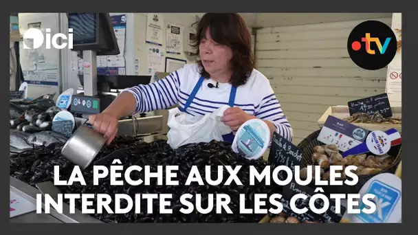 La pêche aux moules est interdite sur certaines plages du nord