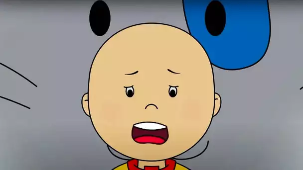 Regarde Derrière Toi | Caillou en Français