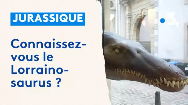 Découvrez le Lorrainosaure, un monstre reptile marin du Jurassique
