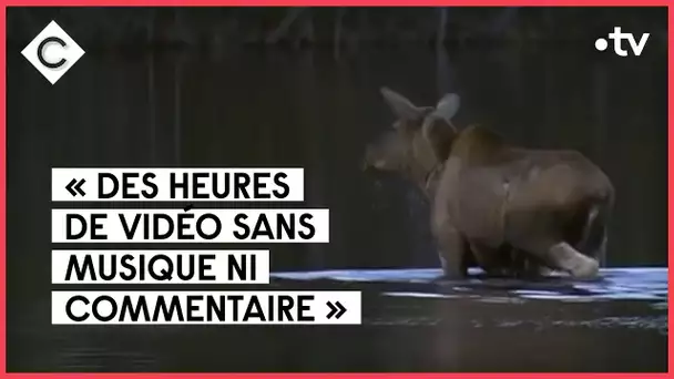 20 millions de vues en Suède : succès de la « slow TV » - C à vous - 23/05/2022