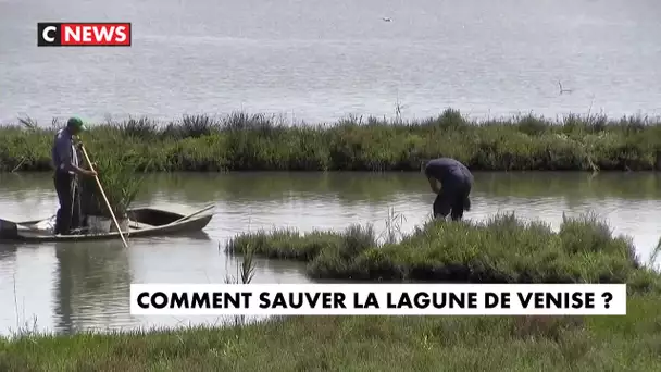 Italie : un projet pour sauver la lagune de Venise