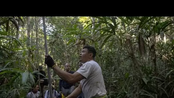 En Amazonie, les scientifiques étudient la biodiversité pour tenter de la protéger