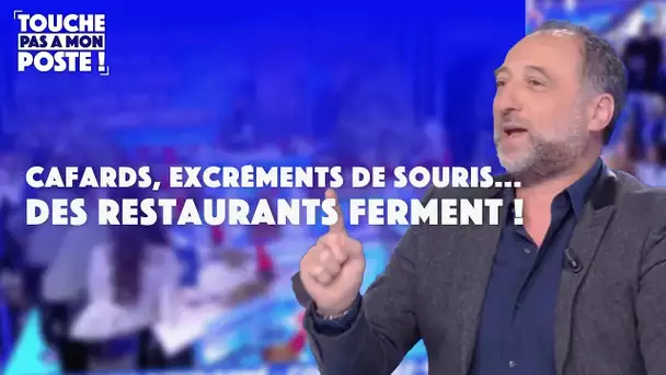 Moisissures, insectes, mauvaise conservation : un restaurant ferme par manque d'hygiène !