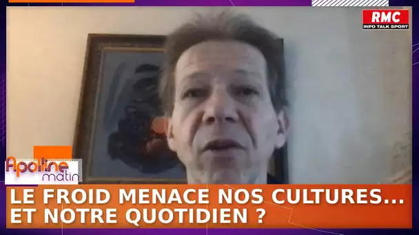 "Les épisodes de gel au mois d'avril ne sont pas rares", rassure Jean-Marc Jancovici