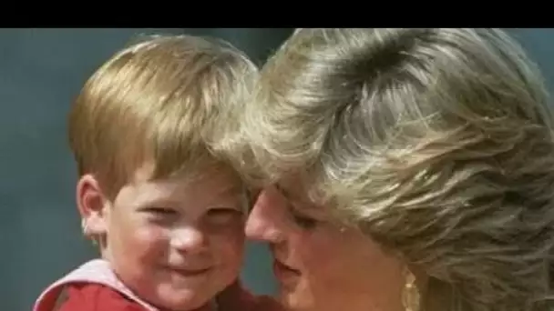 La princesse Diana aurait été une « véritable alliée familiale » du prince Harry au milieu des lutte