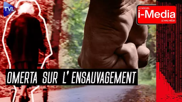 Bordeaux, la vidéo qu’ils ne pouvaient pas cacher ! - Le Nouvel I-Média - TVL