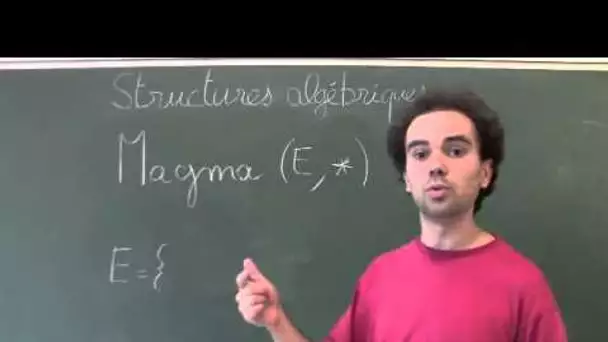Structures algébriques 2 (Les magmas)