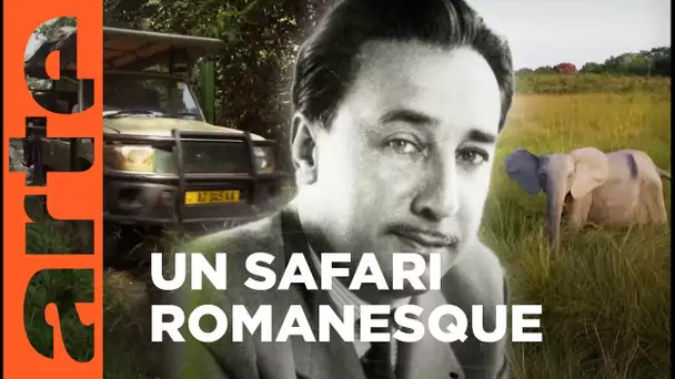 Au Gabon, les racines du ciel de Romain Gary | Invitation au voyage | ARTE