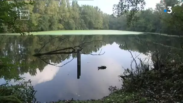 Toulouse : la catastrophe de Beyrouth rappelle les ballastières de nitrocellulose près de la Garonne
