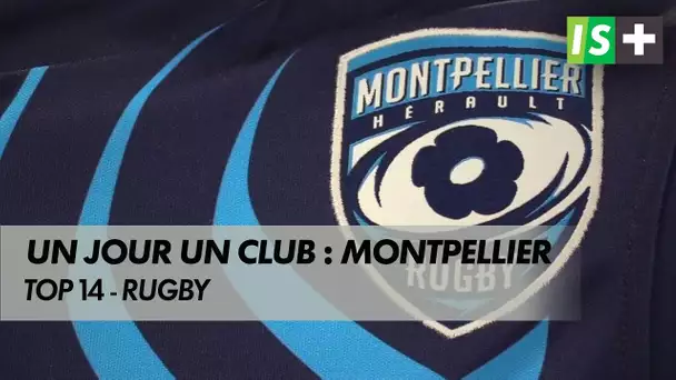 "Un jour, un club" : Montpellier