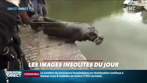 La statue d'un négrier déboulonnée et jetée à l'eau à Bristol (Angleterre)