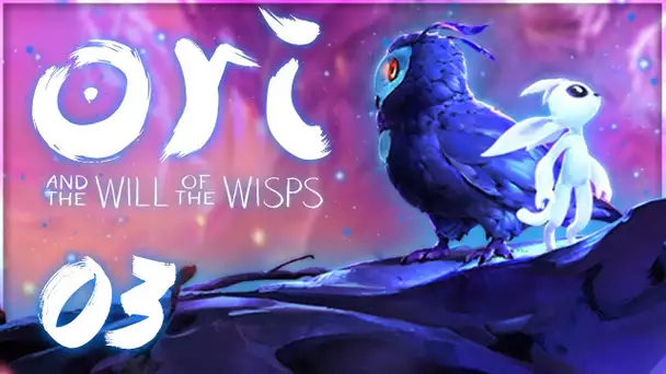 Ori and the Will of the Wisps : Les 4 Donjons ! #03