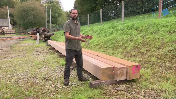 Dans l'Eure, des poutres de 7 tonnes débitées pour Notre-Dame-de-Paris