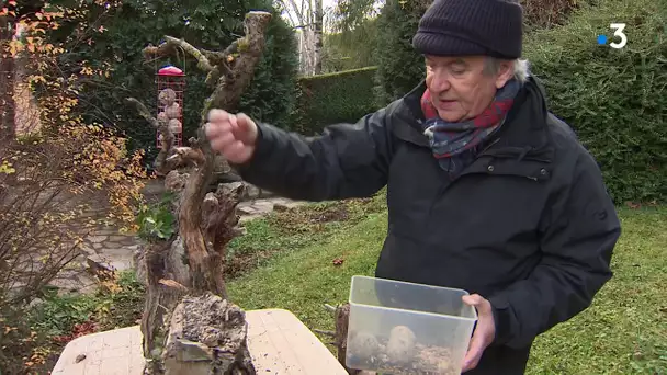 Puy-de-Dôme : découvrez le jardin extraordinaire de ce naturaliste qui filme les oiseaux