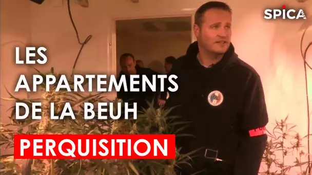 Dealers : les appartements de la beuh