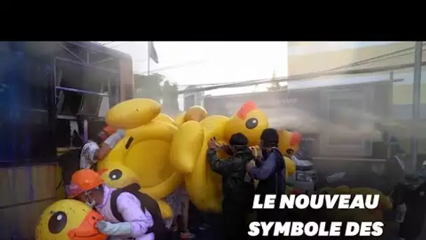 En Thaïlande, les canards gonflables symboles des manifestations pro-démocratie