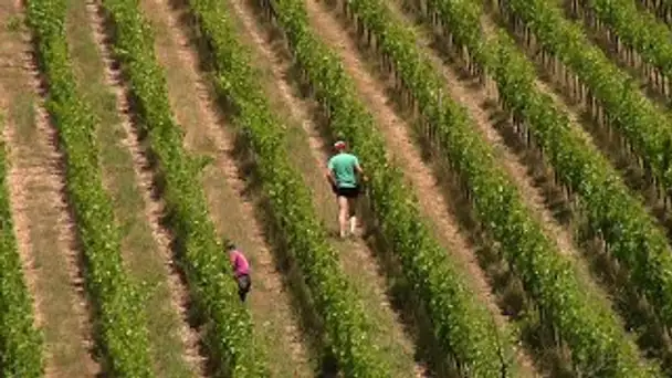 #2 Au fil du Tarn en Lozère : L'artisanat des rives du Tarn