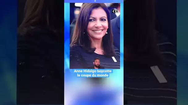 Le coup de gueule tranché de Cyril Hanouna et des chroniqueurs #TPMP