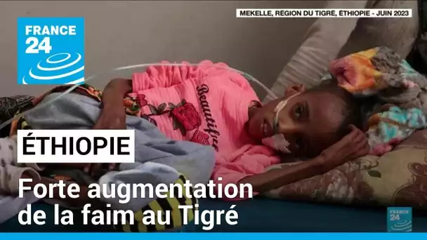 Ethiopie : "forte augmentation" de la faim au Tigré, selon l'ONU • FRANCE 24