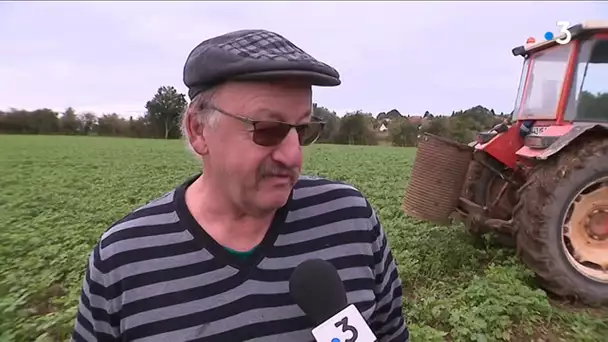 Retombées de suie liées à Lubrizol : les agriculteurs d'Avesnes-le-Comte dans le flou