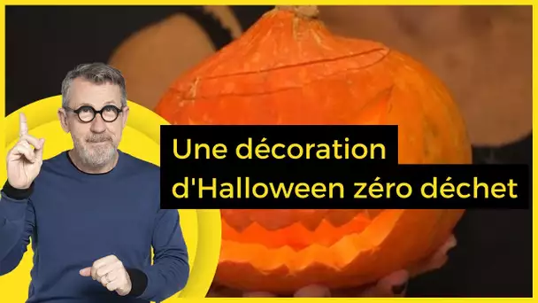 Une décoration d'Halloween zéro déchet - C Jamy