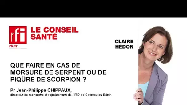 Que faire en cas de morsure de serpent ou piqûre de scorpion ?
