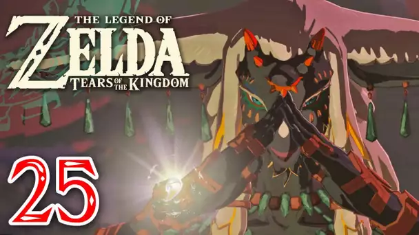 Zelda Tears of the Kingdom #25 | Le pouvoir des pierres ocultes