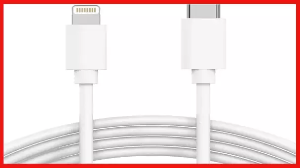 TALK WORKS USB C to Lightning Cable iPhone Charger 10ft Long Heavy Duty Cord - Fast Charging Power