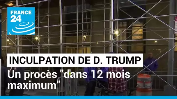 Eric Lisan sur l'inculpation de Donald Trump : un procès "dans 12 mois maximum" • FRANCE 24