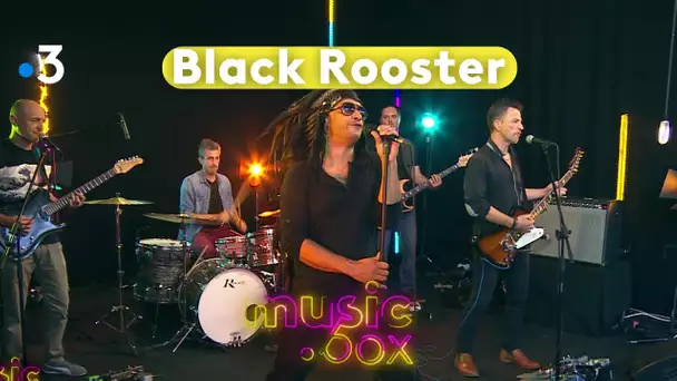 Black Rooster en live sur music.box
