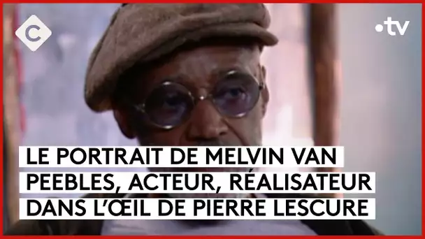 Melvin Van Peebles, la révolution noire au cinéma - C à vous - 03/05/2024