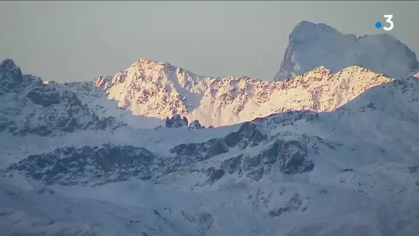 Savoie : le parc de la Vanoise teste une nouvelle méthode pour estimer la population de chamois