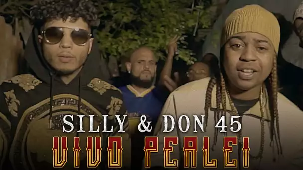 Silly x Don 45 - Vivo Perlei I Daymolition