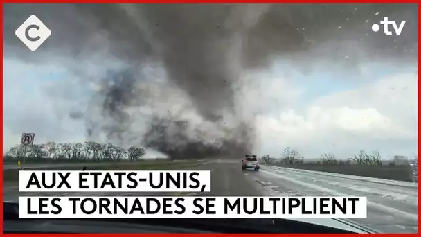 Gérard Depardieu en garde à vue, tornades aux États-Unis  - Le 5/5 - C à Vous - 29/04/2024