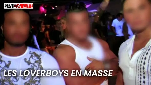 Pays-Bas : les lover-boys attaquent en masse
