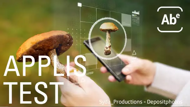 Les applis pour identifier les champignons sont-elles fiables ? ABE-RTS