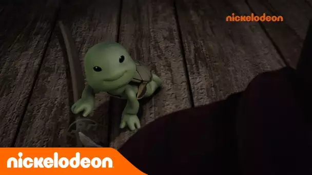 Teenage Mutant Ninja Turtles : les Tortues Ninja | Bébés tortues | Nickelodeon France