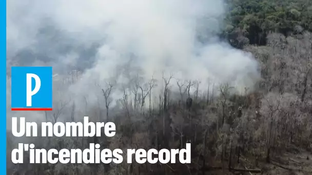 Incendie au Brésil  :  "Il faut lutter contre les gangs qui sévissent en Amazonie"