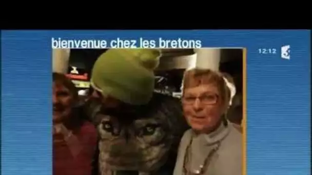 Revue de web: bienvenue chez les bretons