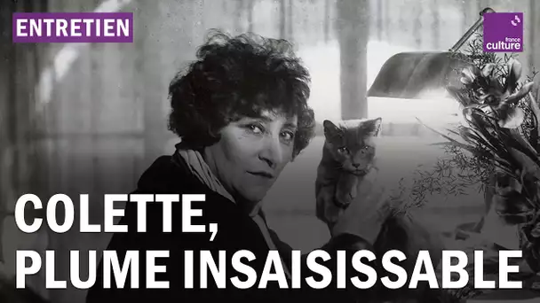 En quoi Colette était-elle moderne ?