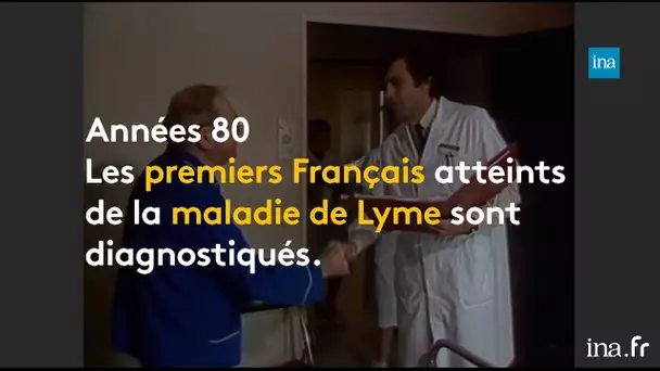 Maladie de Lyme : 30 ans de lutte pour une meilleure reconnaissance | Franceinfo INA