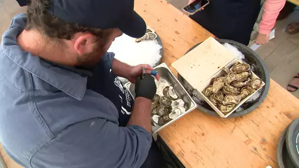 Sète : concours de l'écailler le plus rapide pour ouvrir les huitres