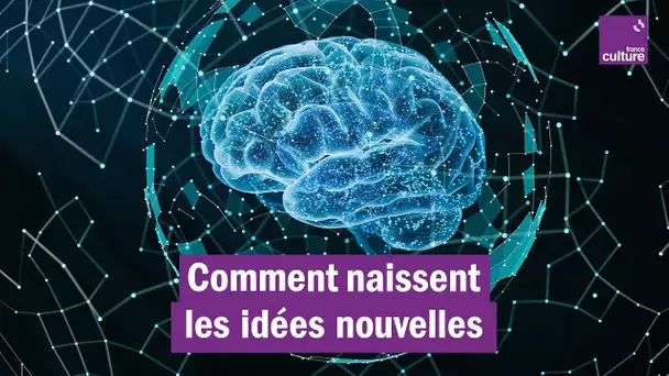 Naissance des idées : "Le 'Eurêka!' qui sort de nulle part n'existe jamais"