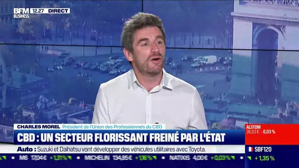 Charles Morel (Union des Professionnels du CBD): CBD, un secteur florissant freiné par l'État