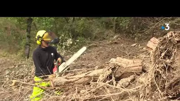 TENDE : après la tempête Alex, les travaux de déblaiement commencent