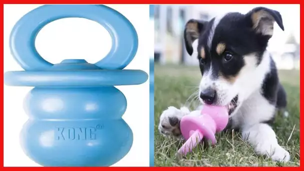 KONG - Puppy Binkie - Soft Teething Rubber, Treat Dispensing Dog Toy - for Small Puppies - Blue