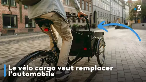 Le vélo cargo veut remplacer l'automobile