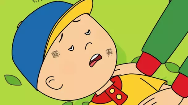 L'accident | Caillou en Français | WildBrain Enfants