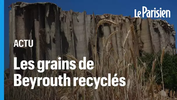 Explosion du port de Beyrouth : une entreprise française va recycler des tonnes de céréales aband